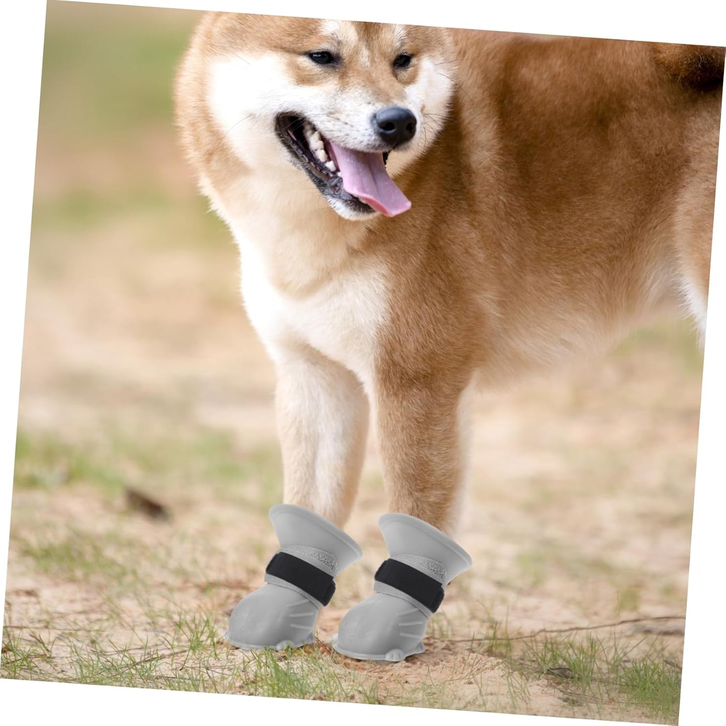 UPKOCH 10pcs Adjustable Slip Pet Bootie Bands Sock Holders for Dogs Non-Skid Paw Cover Fasteners for All Weather Conditions Outdoor Activities