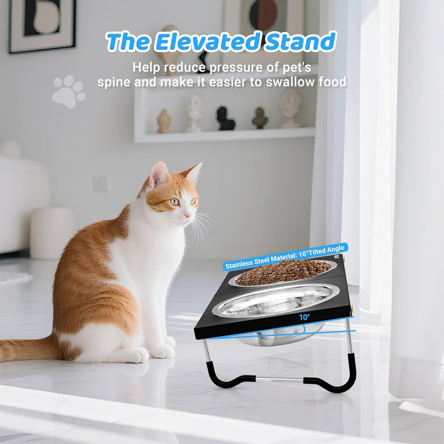 Upgraded Elevated Cat Bowls,10°Tilted Foldable Stand Anti Vomiting Raised Cat Dishes for Food and Water,2 Stainless Steel Bowls for Cats and Puppy (1 Pack)