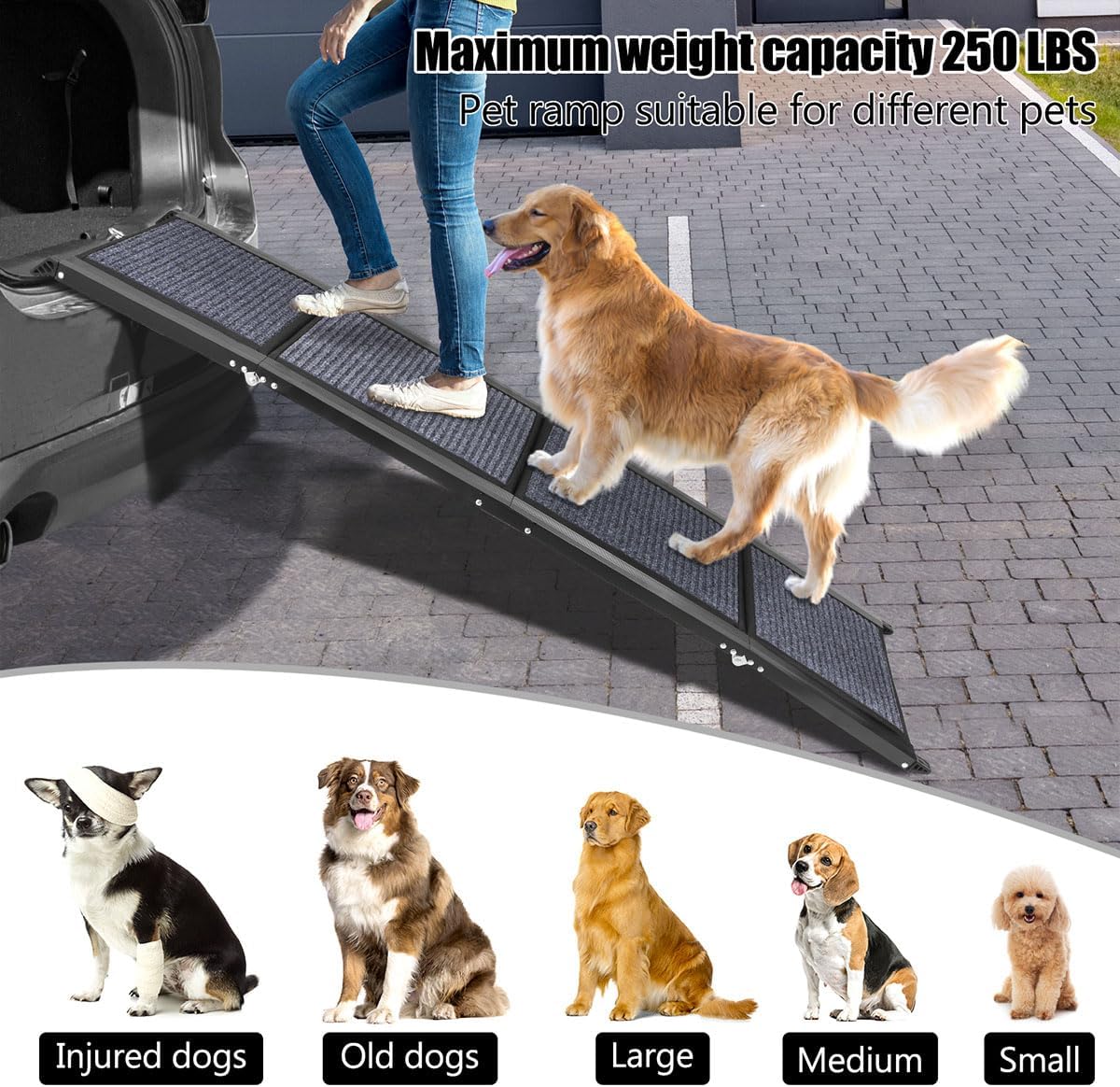 GaliGali Dog Ramp for Car, Portable Folding Pet Stair Ramp with Non-Slip Carpet, 71"Long&19.7"Wide, Wider Dog Stair Allows Medium to Large Dogs Up to 250 lbs to Enter Car SUV and Truck GALILVTI180 50
