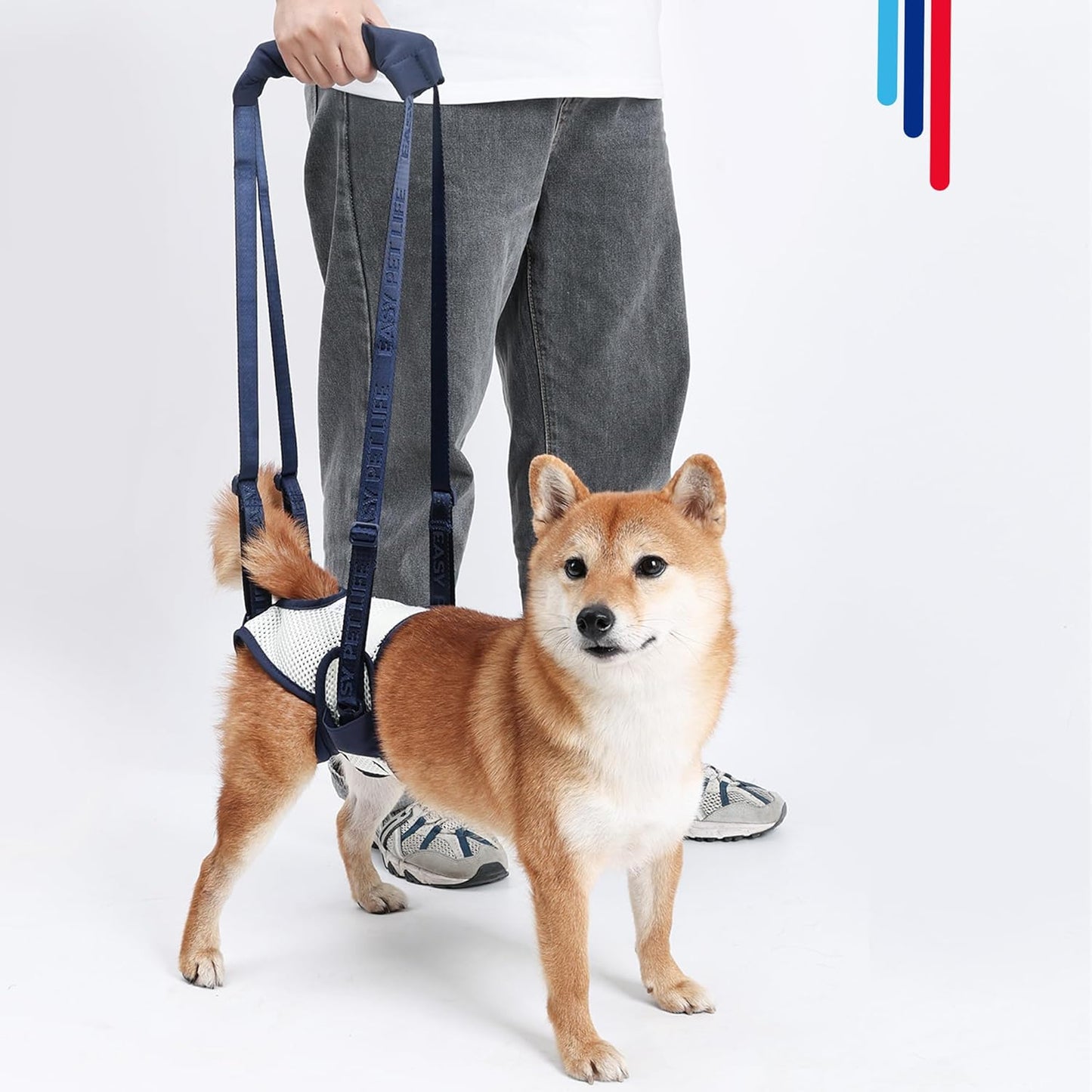 Dog Lift Harness for Back Legs - Adjustable Mobility Aid for IVDD/Paralyzed/Senior Dogs (3-in-1 Sling Design), Comfortable Leg Support, Instantly Help Your Dog Walk Again (Blue, S)