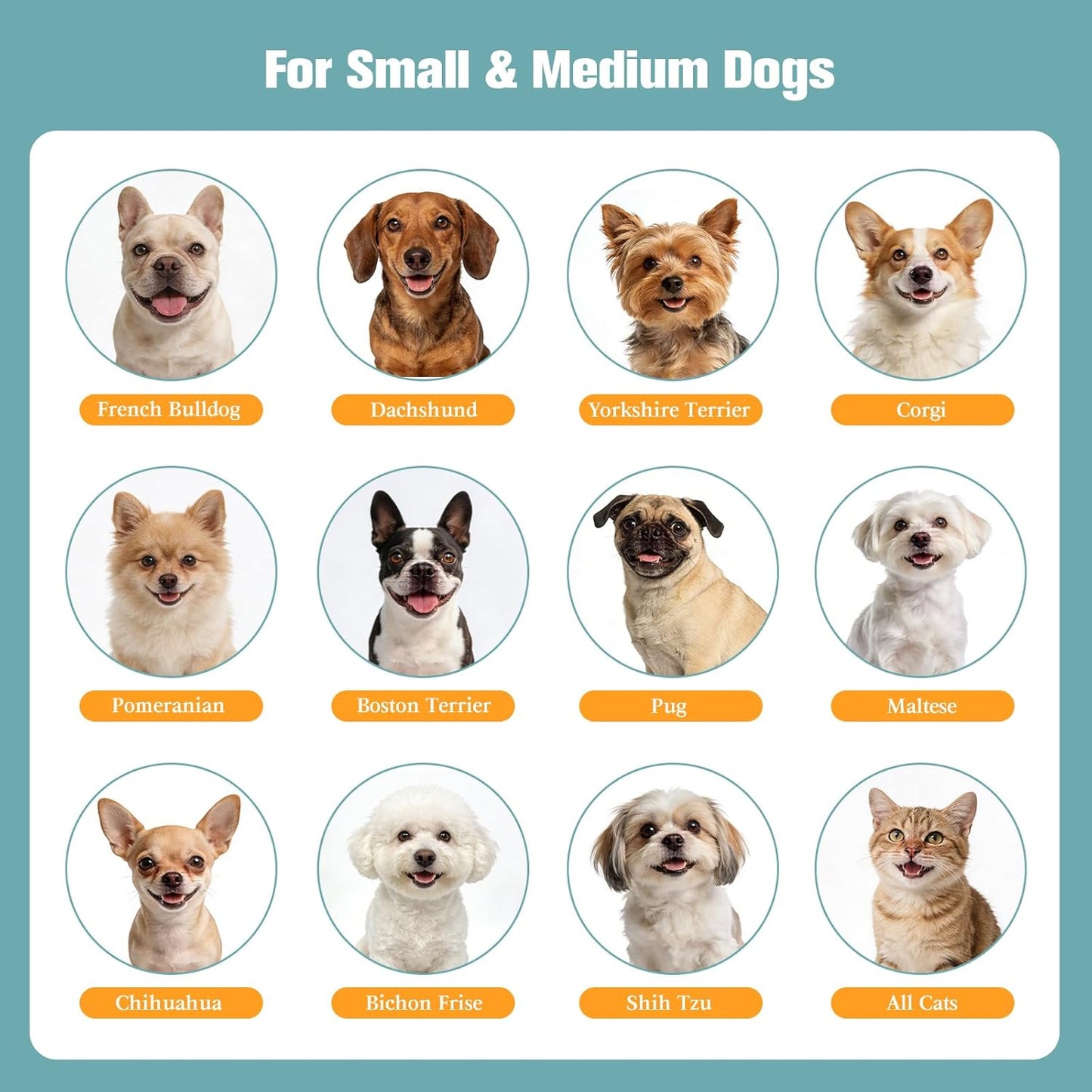 Dog Stairs for Small Dogs, 2-Step Dog Steps for Couch Sofa and Chairs, High-Density Foam Pet Steps Ramp with Removable Washable Cover for Older Injured Puppy Dogs and Cats, 11.81" H, Beige
