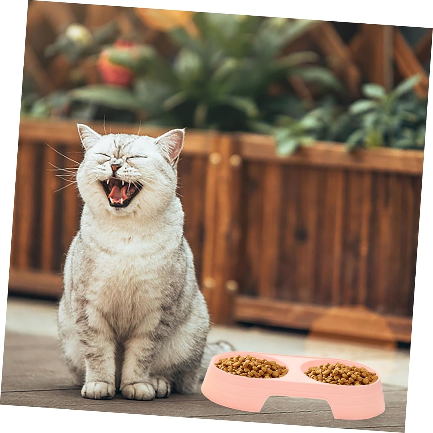 Luxshiny 8pcs Tip Double Cat Feeding Bowls Candy Color Plastic Pet Food and Water Dishes with Stable Design Easy to Clean Suitable Height for Healthy Eating Posture