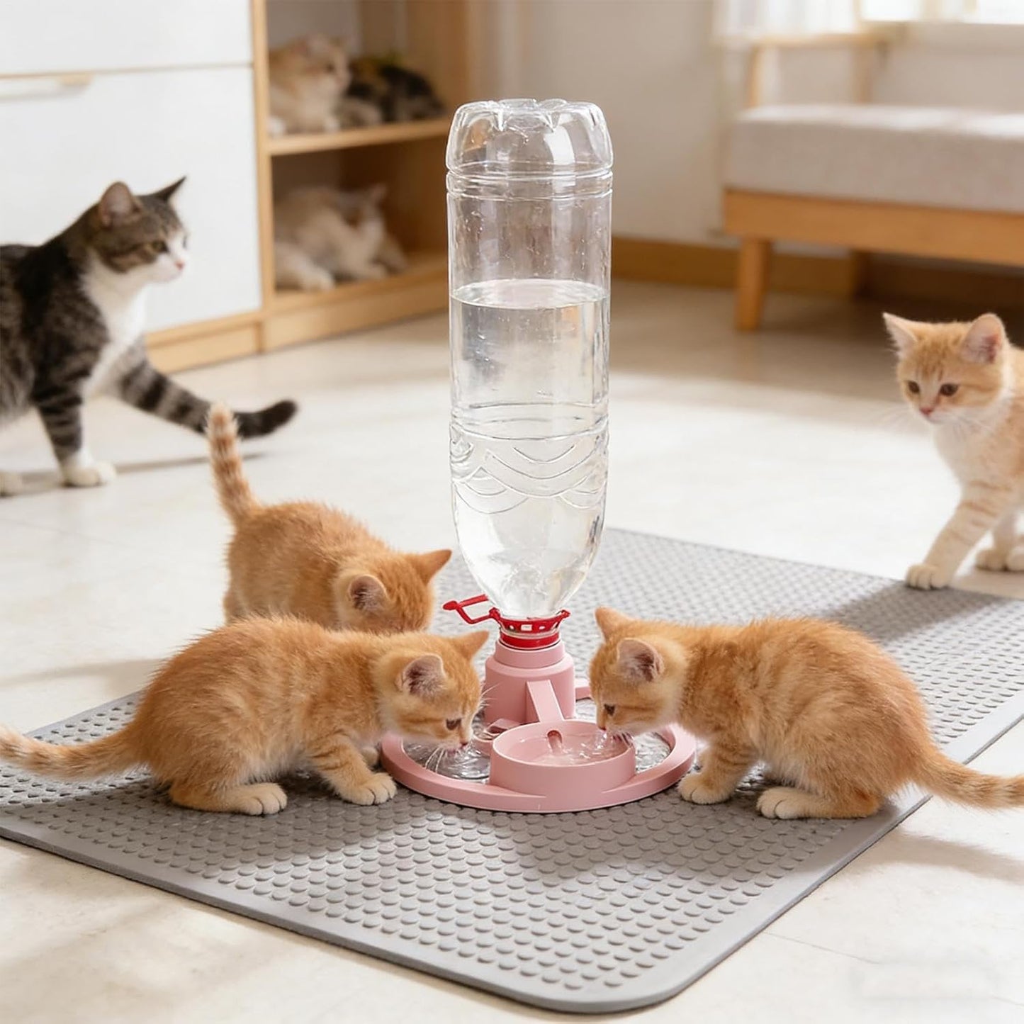 Cat Feeder Stand - Anti-Tipping Automatic Rack,Kitten Water Bottle Basin Stand - for Puppy Kitten Small Medium Large Breed Balcony Home Travel Indoor Outdoor