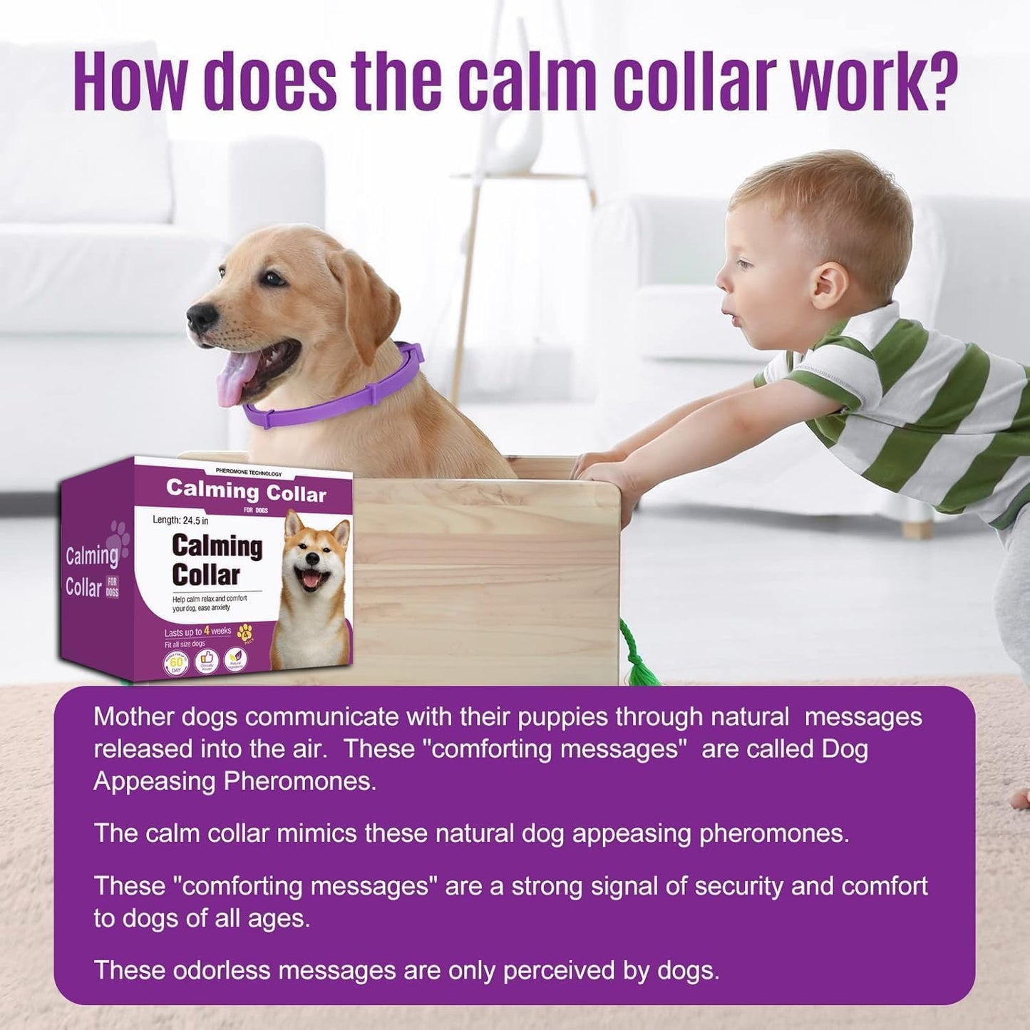 Calming Collar for Dogs 4 Packs, Dog Pheromone Calm Collars Relief Anxiety Stress Separation Lasts 60 Days, Calm Pheromone Collars 25 Inches Size Flexible Adjustable for All Dog (Pruple)