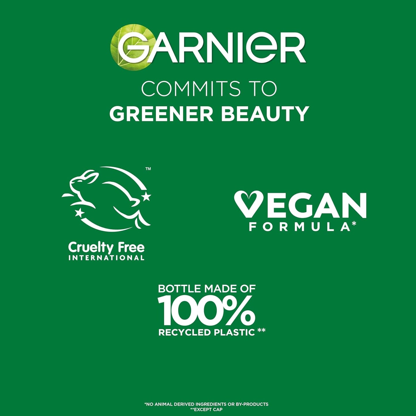 Garnier Fructis Sleek & Shine Shampoo (22 Fl Oz) + Conditioner (21 Fl Oz) Set for Frizzy, Dry Hair, Plant Keratin + Argan Oil (2 Items), 1 Kit (Packaging May Vary)