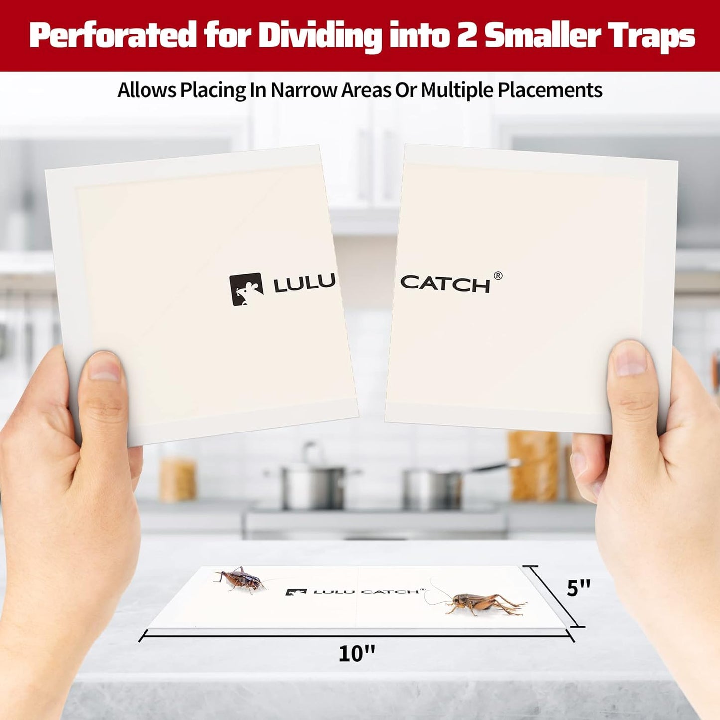 LULUCATCH Cricket & Insect Glue Traps 24 Pack, Adhesive Bug Catcher, Pre-Baited Spider Scorpion Trap, Non-Toxic Glue Boards Indoor for Home Catching Bugs, Mice & Rodents, Pet Safe Pest Control