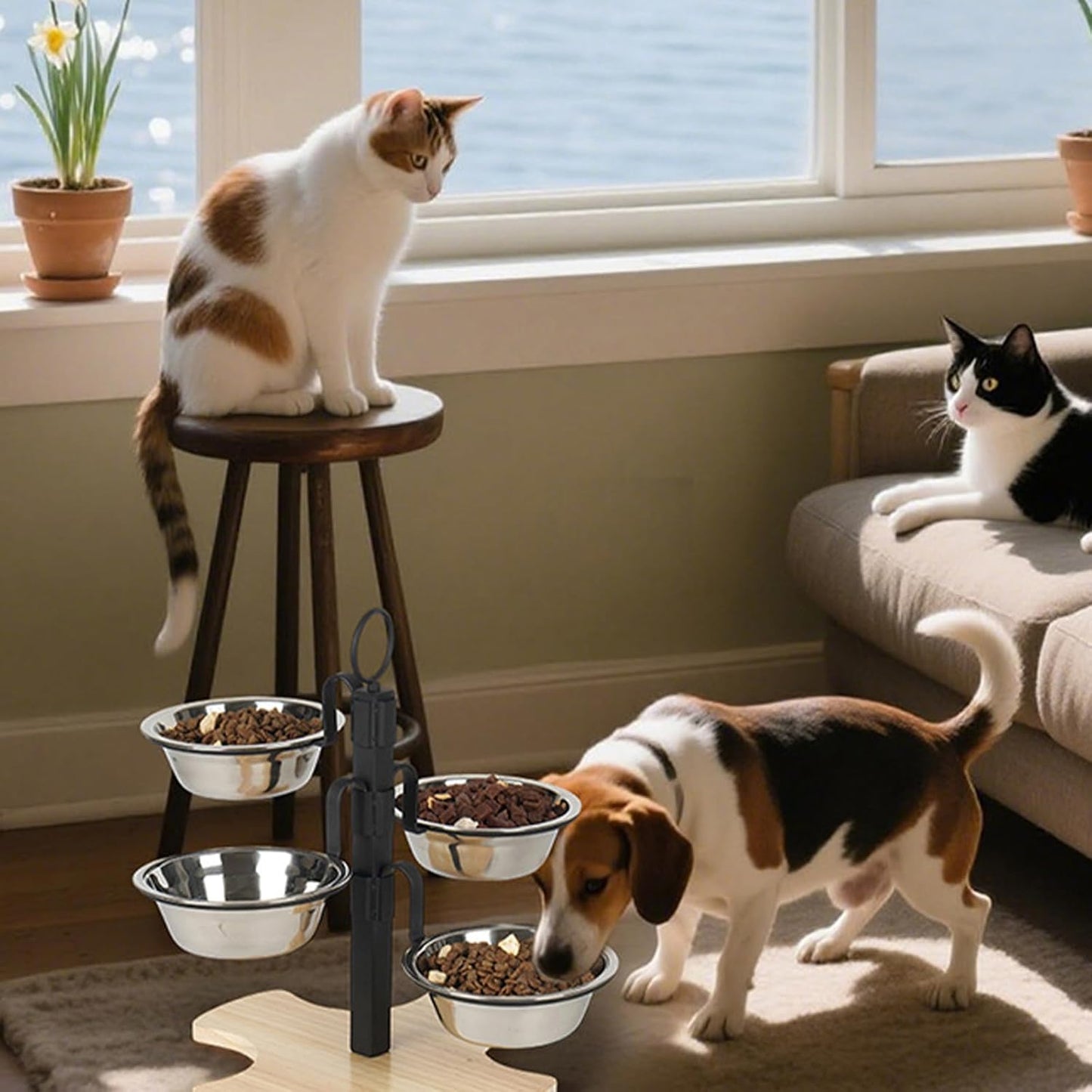 Ergonomic Elevated Dog Bowls with Stable Stand and Quadruple Bowl for Most Breeds Adjustable Heights Dishwasher Safe Pet