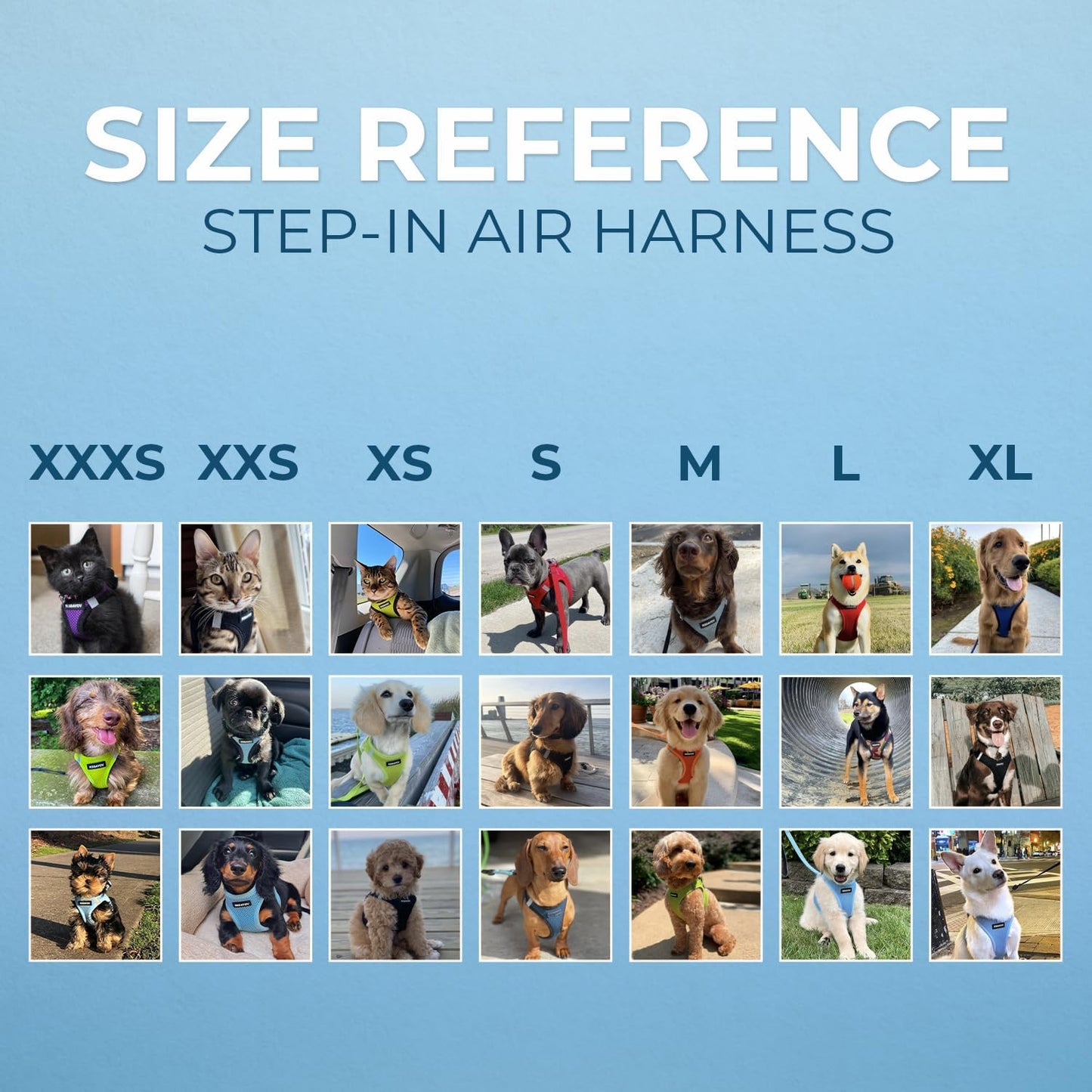 Best Pet Supplies - All Weather Mesh / Plush, Reflective, No Pull Harness for Small, Medium Dogs, Cats - Secure with Hook & Loop Fastener, Buckle, Double D-Rings - Blue/Black Trim, S