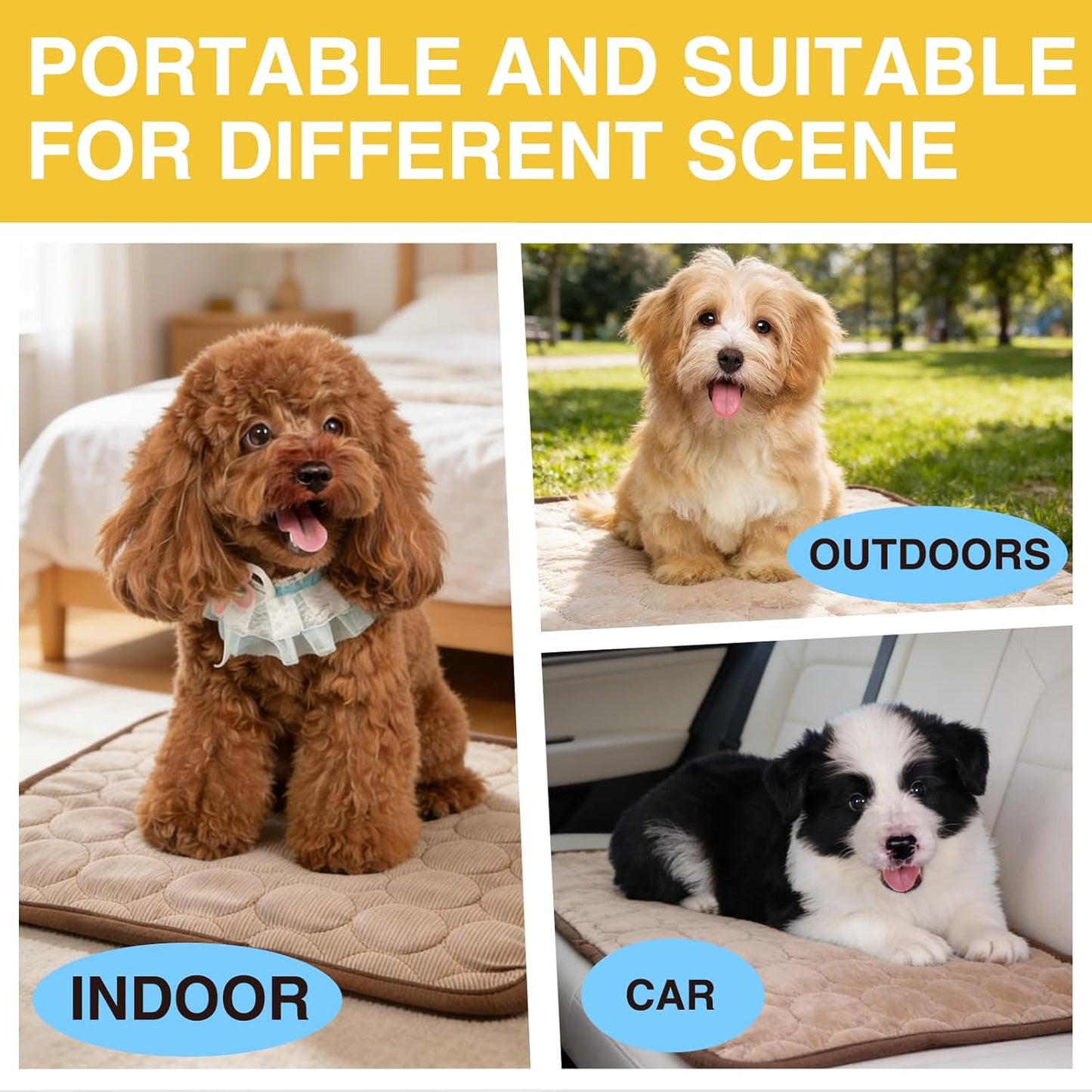 Reusable Pet Mat for Floor - Washable Non-Slip Pee Pads for Dogs, Fast Absorbent Dog Training Pads, Suitable for Small Pets