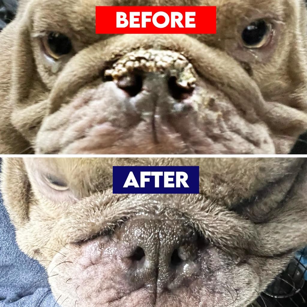 Dog Nose & Paw Balm (4 oz) - RuffNose Natural Moisturizer with Shea, Coconut & Cocoa Butter - Helps Condition Dry, Rough Paws and Noses - Suitable for Daily Use, All Breeds - Made in The USA