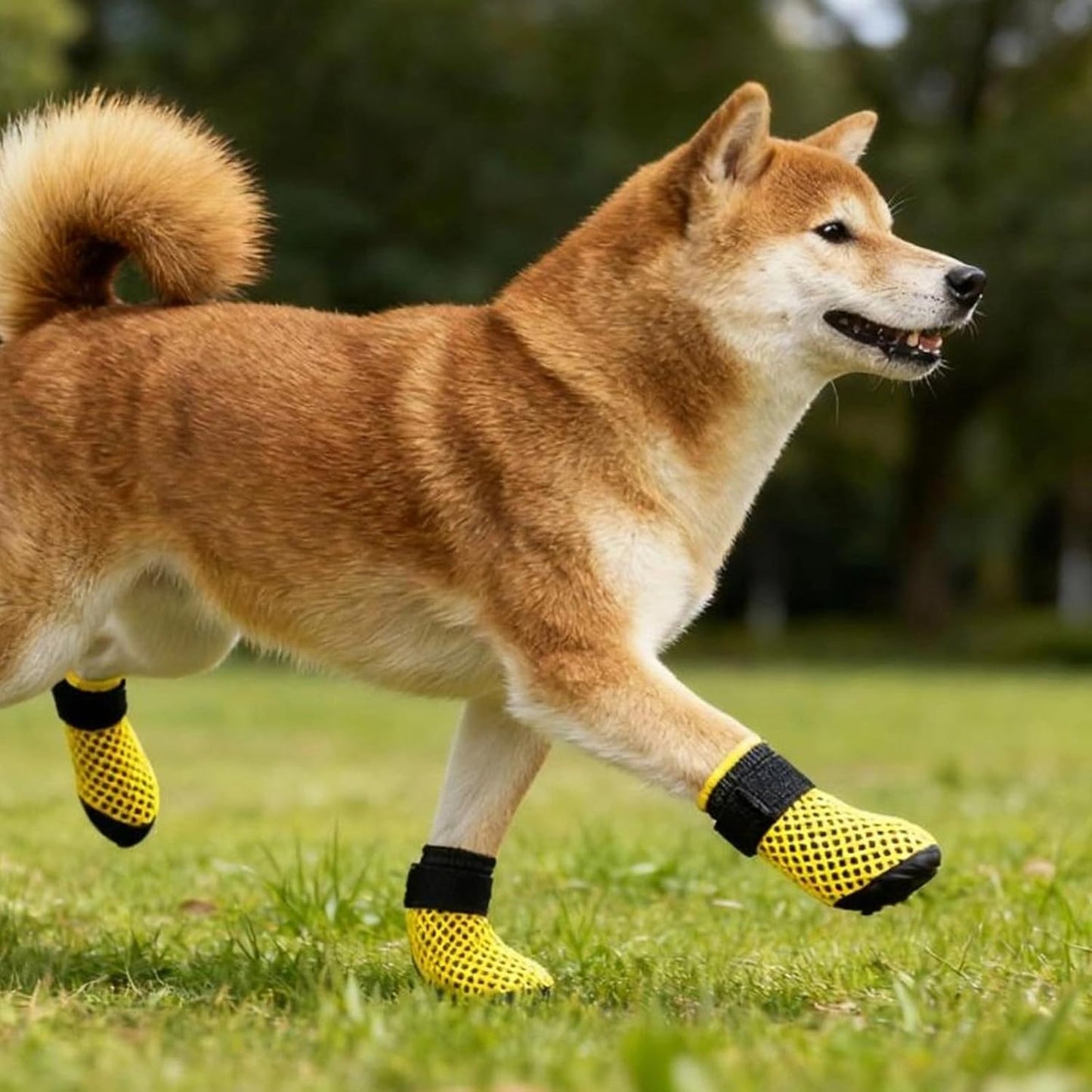 Outdoor Dog Socks Protective Feet Covers Grooming Thick Grip Shoes for Outdoor Feet Covers Shoes Soles Hardwoods Floor Socks