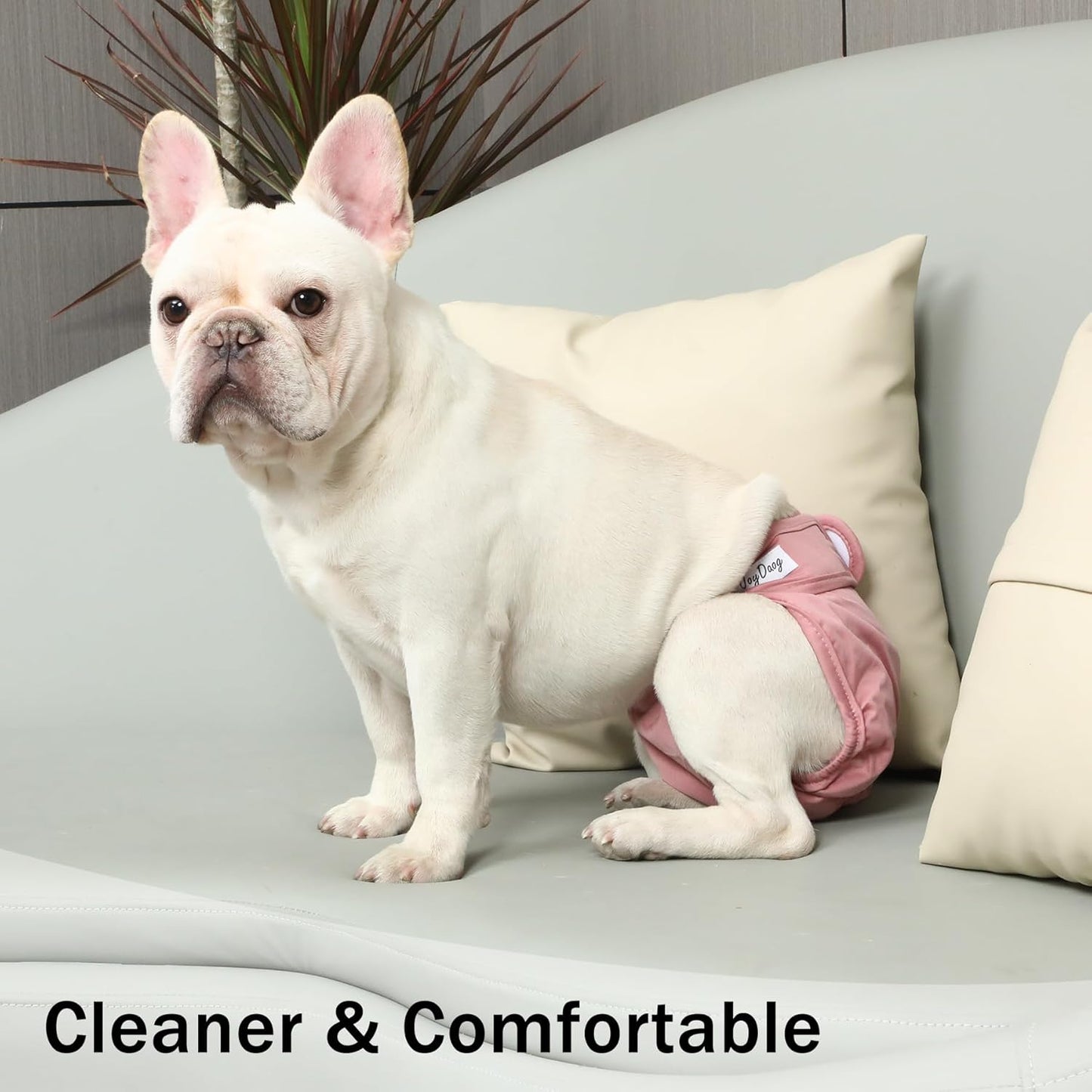 Female Dog Diapers for Small Dogs,4 Pack Reusable Washable Premium Puppy Diapers for Heat,Incontinence,Period Doggy Nappies,S