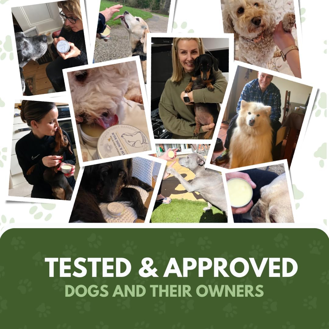 Lick Safe Dog Paw Balm - Softens, Heals, Soothes & Protects Dogs Paws, Noses & Skin. All Natural, Organic Ingredients. Lick-Safe Protection for Dogs with Beeswax (2 fl.oz - Standard Tin)