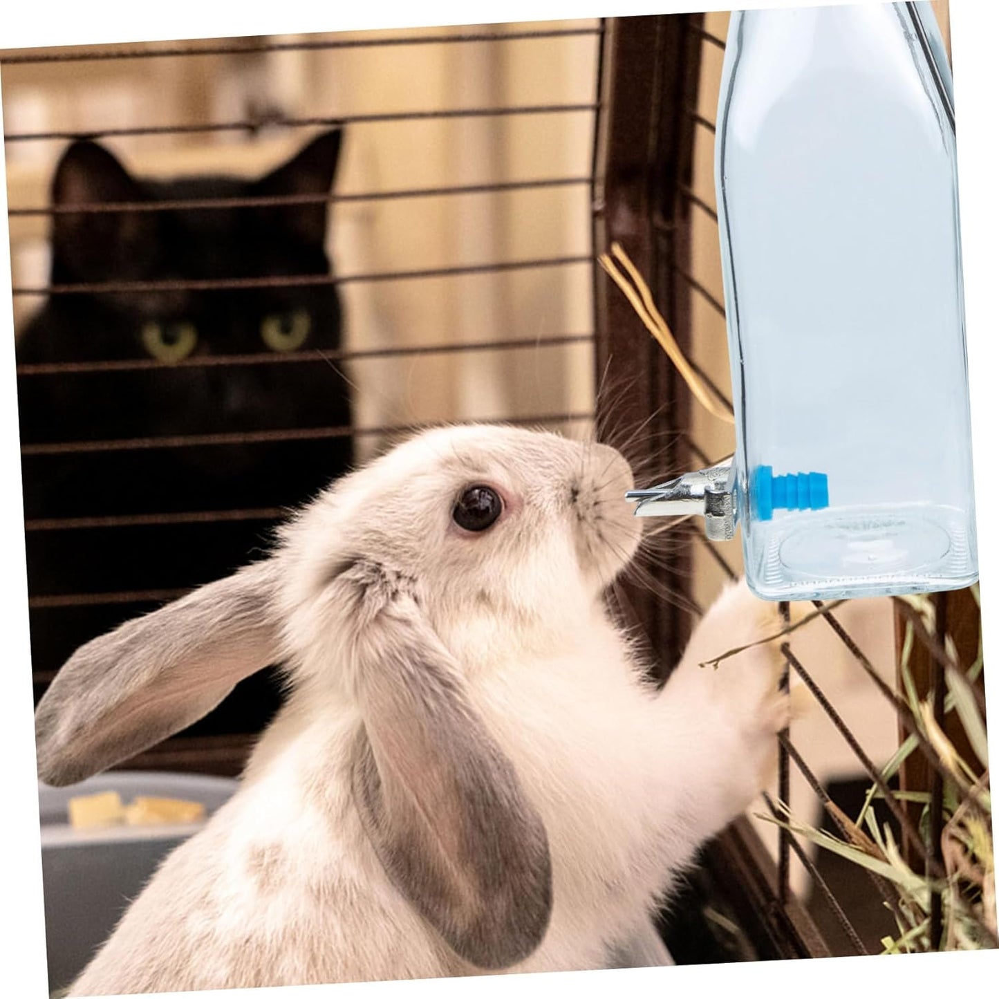 Milisten Small Pet Bunny Water Bottle Vertical Rabbit Waterer Leakproof Cage Dispenser for Hamsters Guinea Pigs Hedgehogs Ferrets Mice with Transparent Design Easy to Install and Use