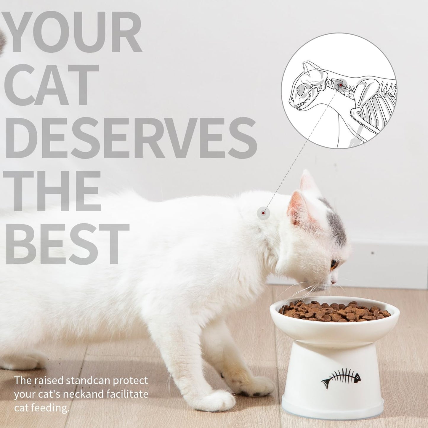 FOREYY Raised Cat Food and Water Bowl Set, Whisker Friendly Elevated Ceramic Cats Feeder Bowls with Anti Slip Ring, Anti-Vomiting Shallow High Porcelain Pet Kitten Dish, Dishwasher Safe(White)