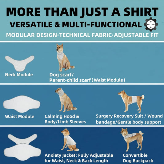 DAJIDALI® Dog & Cat Anxiety Vest & Spay Recovery Suit – Silent Adjustable Calming Wrap for Surgery & Thunderstorms – 2-Piece Cone Alternative