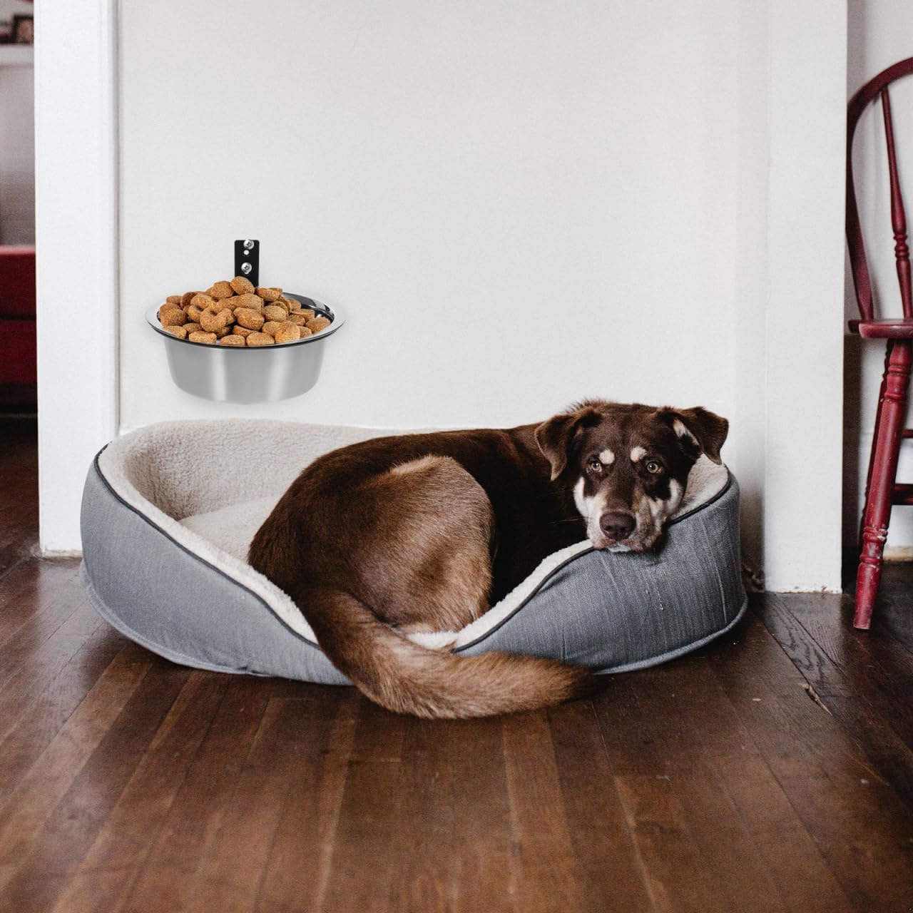 NOLITOY Elevated Dog Bowl, Wall Mounted Raised Food and Water Bowl for Medium Dogs Pet Feeding Station