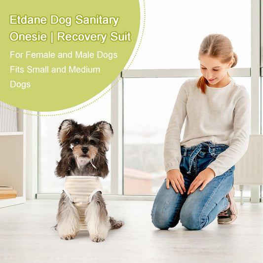 Etdane Dog Period Diapers Small Dog Sanitary Panties Period Suit for Male Female Dogs Diaper Cover for Heat Yellow/X-Large