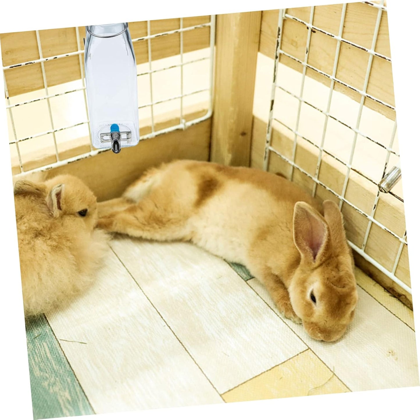 Milisten Small Pet Bunny Water Bottle Vertical Rabbit Waterer Leakproof Cage Dispenser for Hamsters Guinea Pigs Hedgehogs Ferrets Mice with Transparent Design Easy to Install and Use