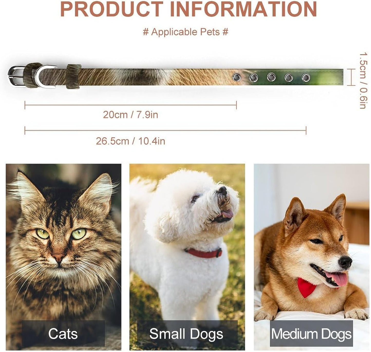 Capybara with Eyes Closed Dog Collar with Buckle Adjustable Martingale Pet Collars Cute Female Male Puppy Collar Soft Waterproof Cat Collars for Small Medium Dogs
