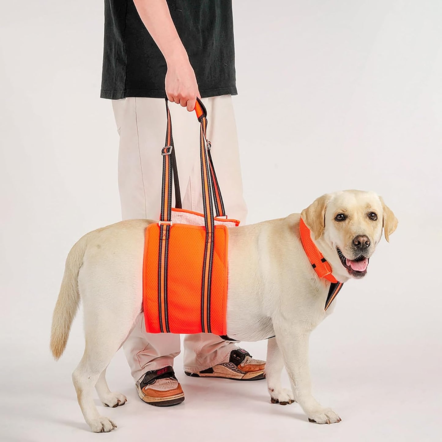 Adjustable Dog Lift Harness, Rear Leg Support and Rehab Harness for Small Dogs, with Stabilizing Strap and Reflective Strip, Helps Assist Elderly, Disabled, and Post-Surgery Dogs