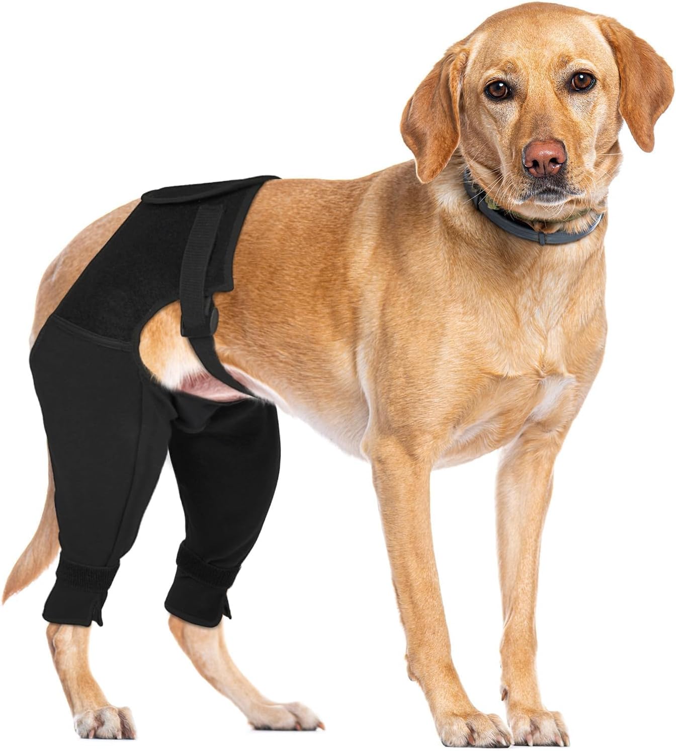 Dog Recovery Sleeve Rear Leg for Stop Licking, Comfortable Back Leg Pants for Wound ACL TPLO After Surgery, Dog Cone Alternative Protective, 2XL