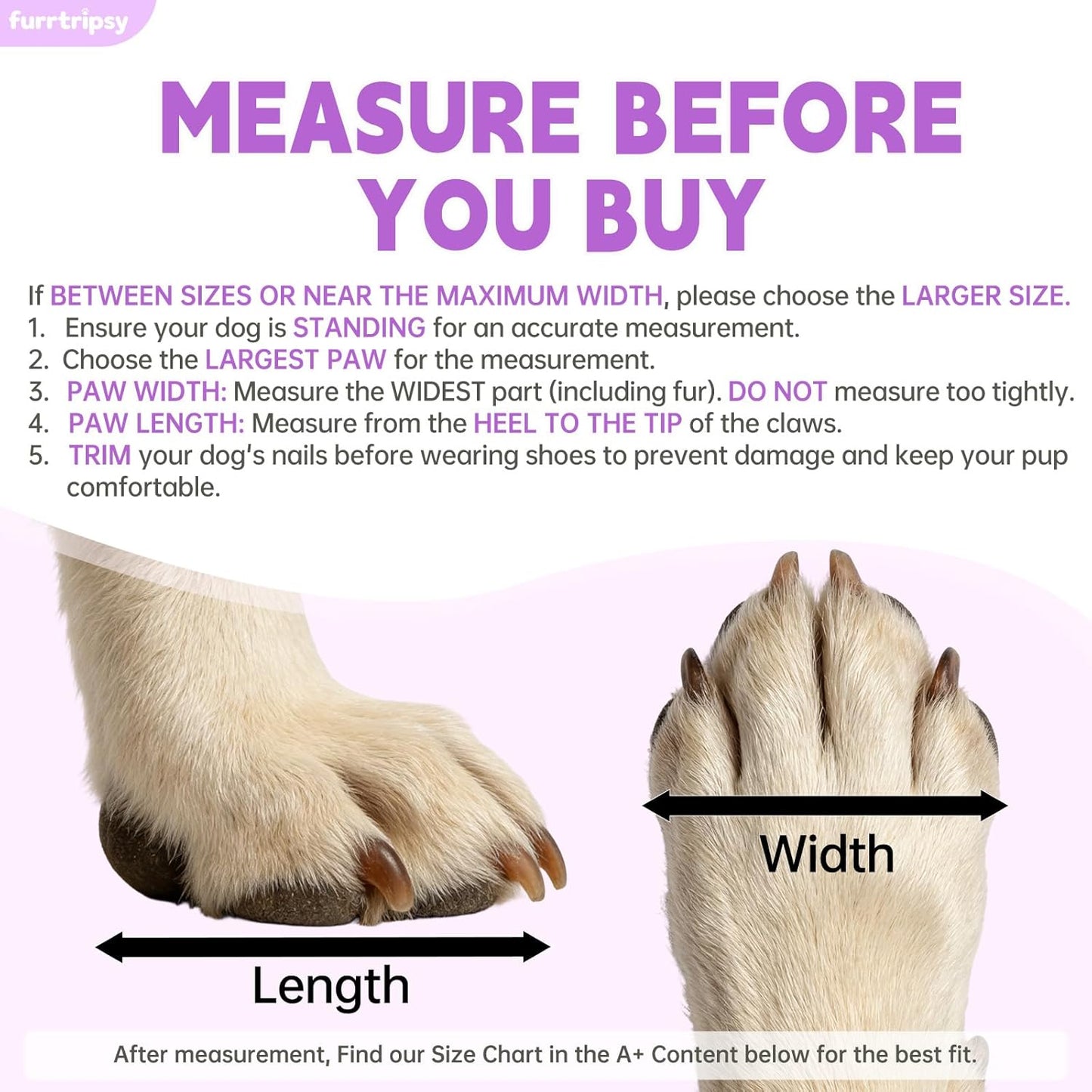 Dog Shoes,Non-Slip Waterproof Sandals for Hot Pavement, Breathable Perforated Boots,Adjustable Straps Dog Rain Booties for Summer Beach and Rainy Day(Purple,#6)