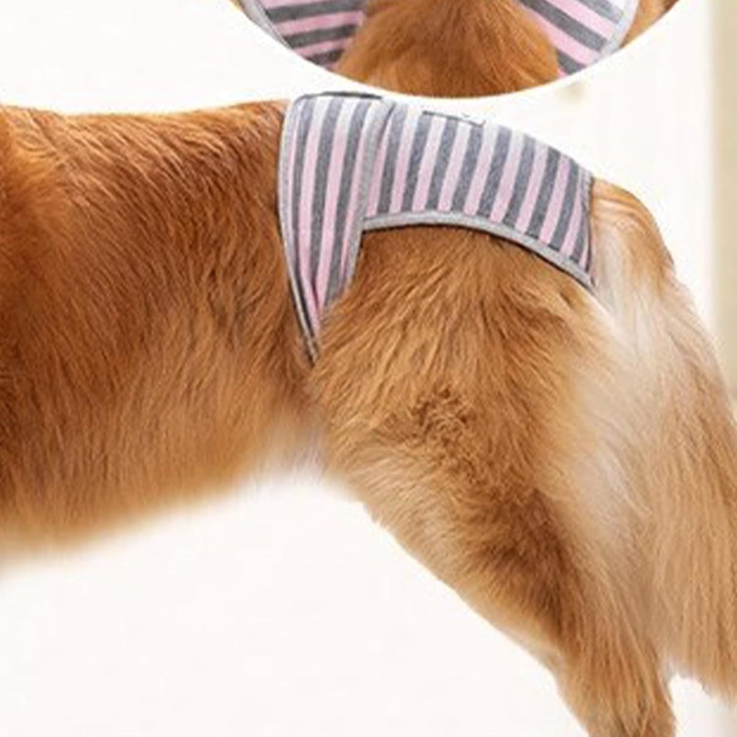 Dog Menstrual Pants Soft Adjustable Leakproof Comfortable Physiological Protection for Female Large Dogs Labrador Golden Retriever Polyester (S)