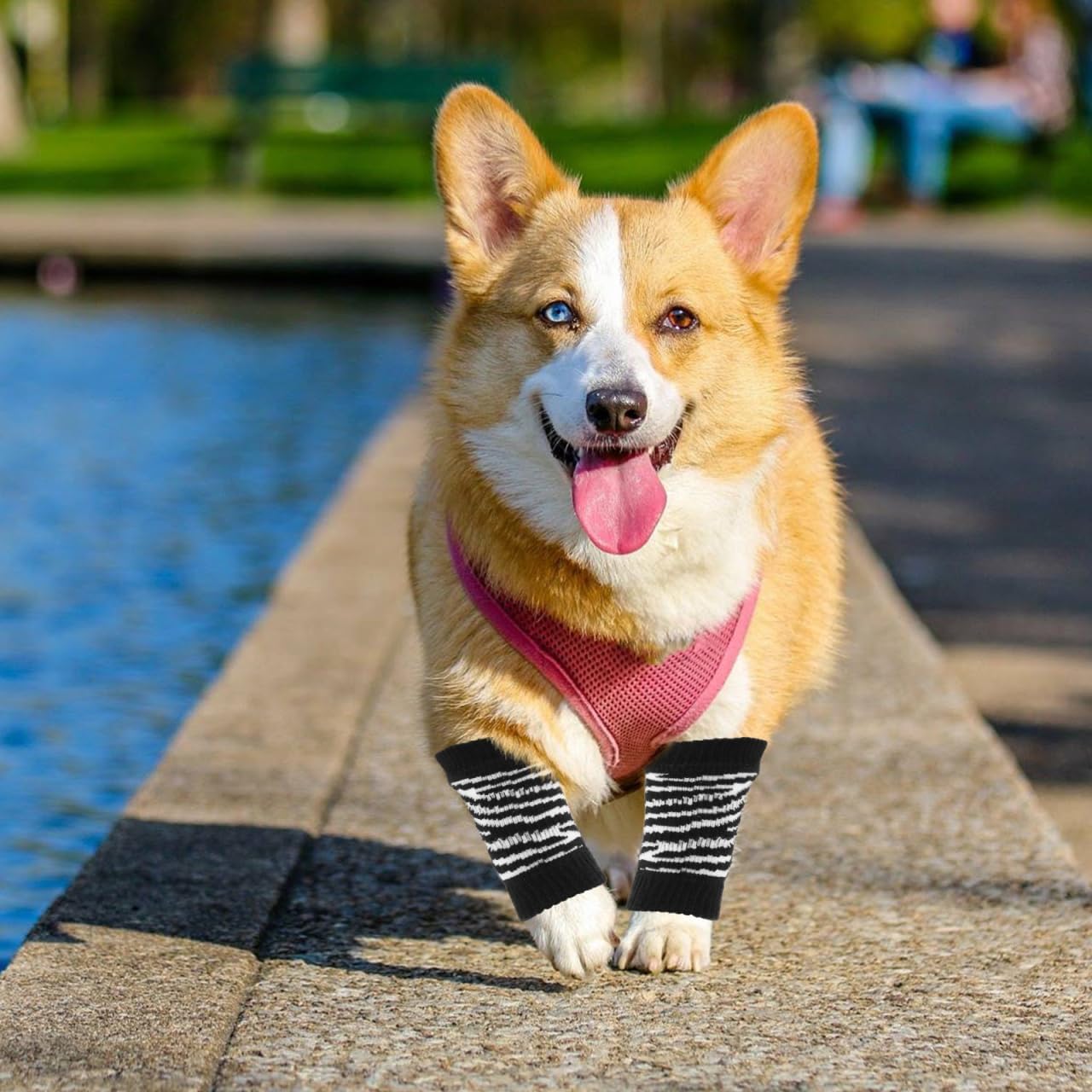 Sosoport Dog Leg Warmers for Small Dogs - Washable Pet Socks with Breathable Cotton Fabric Adorable Patterned Elbow Protectors for Winter Paw Care and Outdoor Use 4 Pack