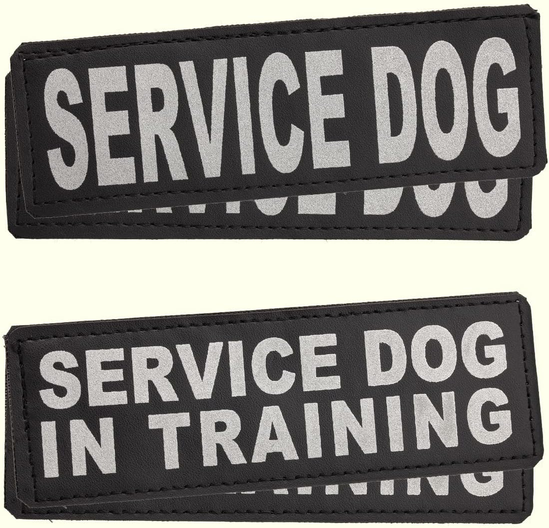 Dogline Service Dog Vest Harness Bundle Official Red Service Dog Reflective Leash & Patches Service Dog in Training Set Service Dog ADA IDs with Lanyard for Travel Support Therapy Dogs