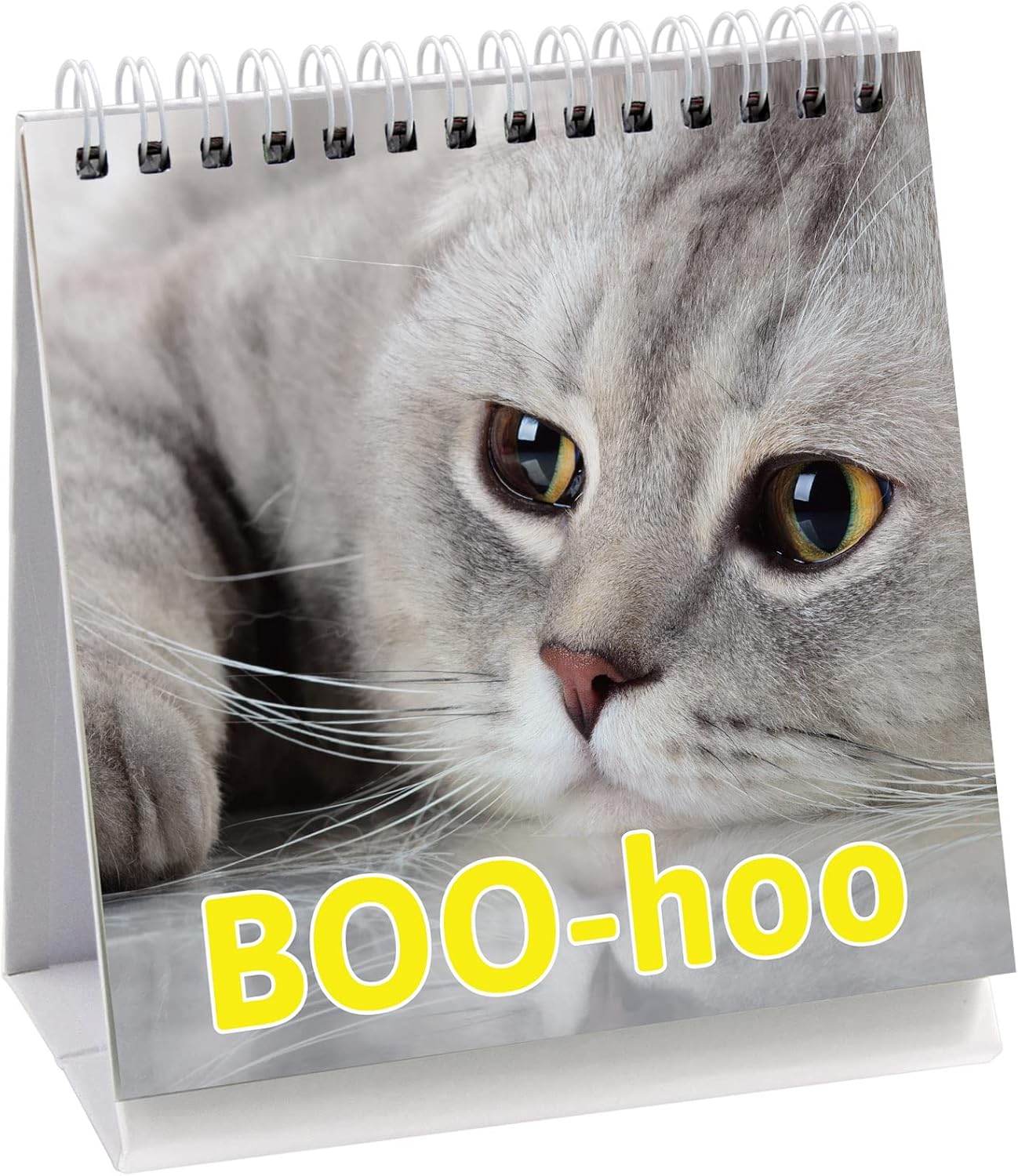 Fancy Land Funny Desk Signs for Kitten Lovers 30 Different Fun and Flip-Over Messages for Office Desk Accessories