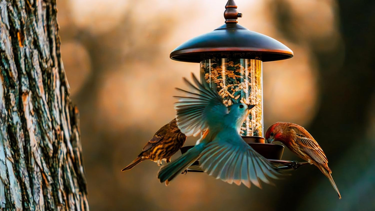 Metal Roof Bird Feeder - Chew Proof for Outdoor Hanging Wild Bird Seeds. Bronze