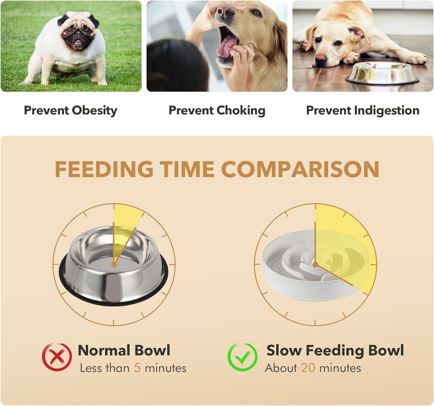 Ceramic 1.2 Cup Raised Slow Feeder Dog Bowl Set, Elevated 6.1inch Bowl and 7.3inch Dish with Acacia Wood Stand for Small and Medium Dog(2 x Reactived Glaze -White+ Stand)