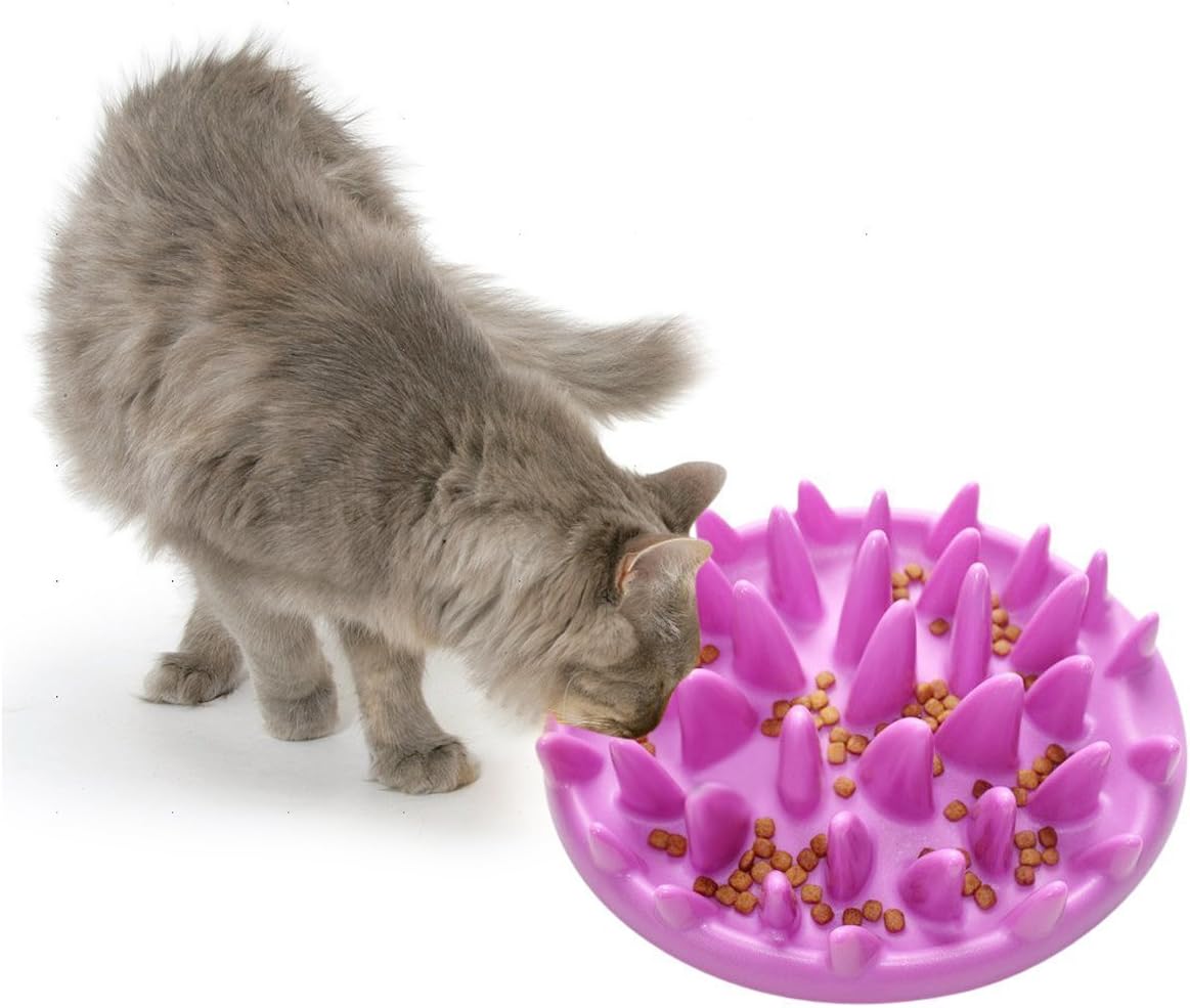Cat Catch Interactive Feeder Bowl - Slow Feed Anti-gulping Bloat Stop Pet Bowl - Cat Feeding Bowls