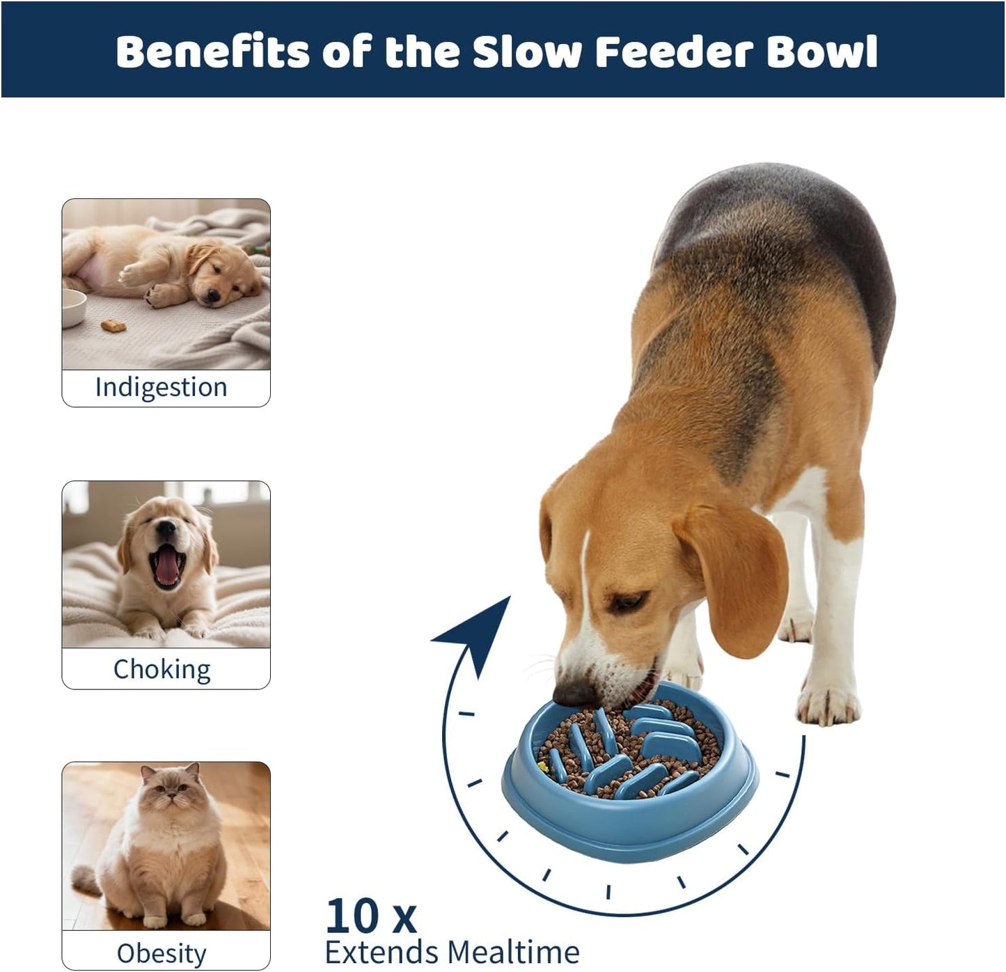 4PCS Slow Feeder Dog Bowl Set with Mat & Feeding Ball, Slow Feeding Dog Bowl to Slow Eating, Puppy Slow Feeder Bowl for Small Dogs, Dog Bowls with Slow Feeder, Easy Clean