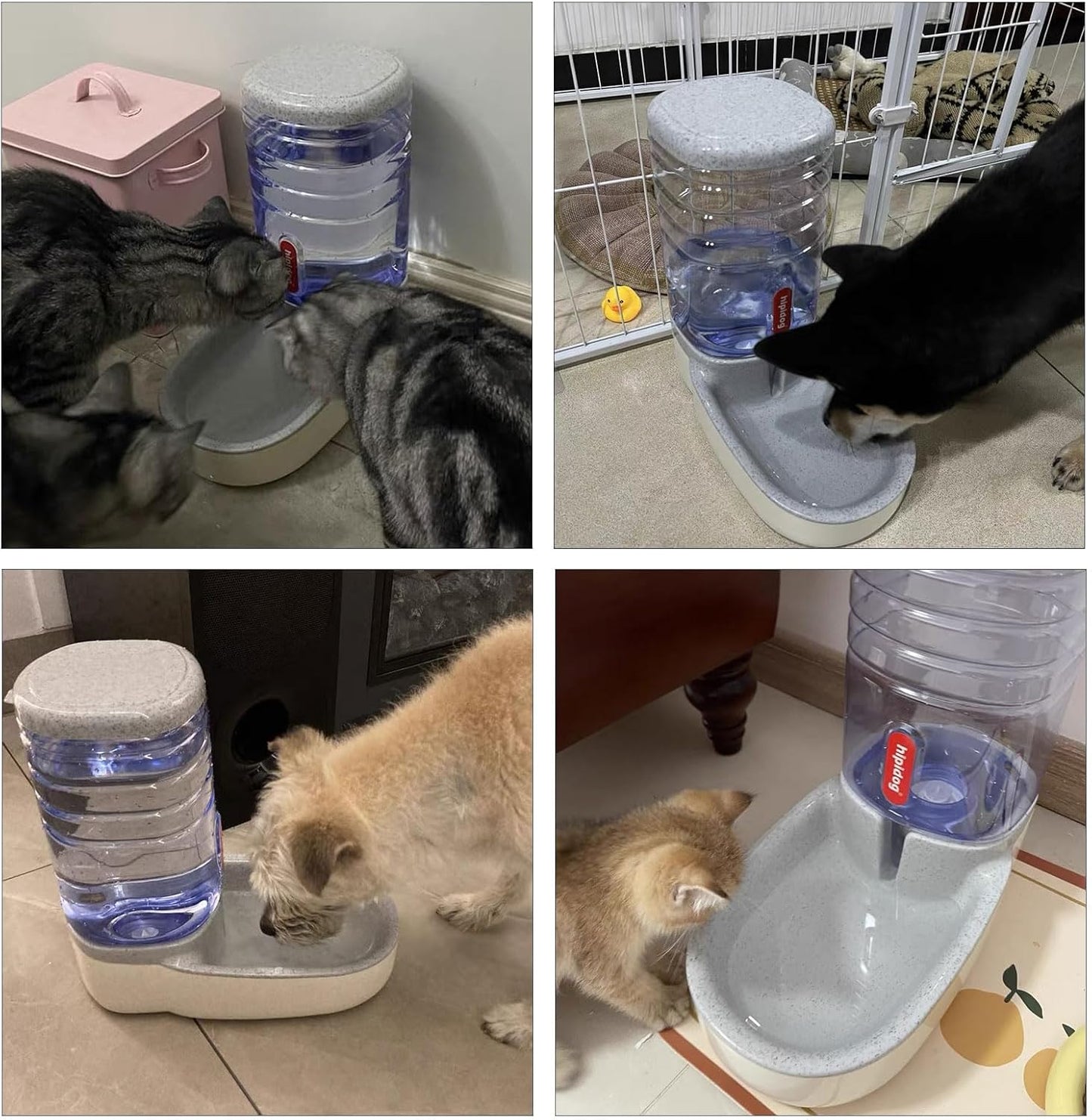 kathson Automatic Cats Water Dispenser 1 Gallon Gravity Dogs Water Station Feeder Large Capacity Pet Drinking Bowls for Kitten Puppy