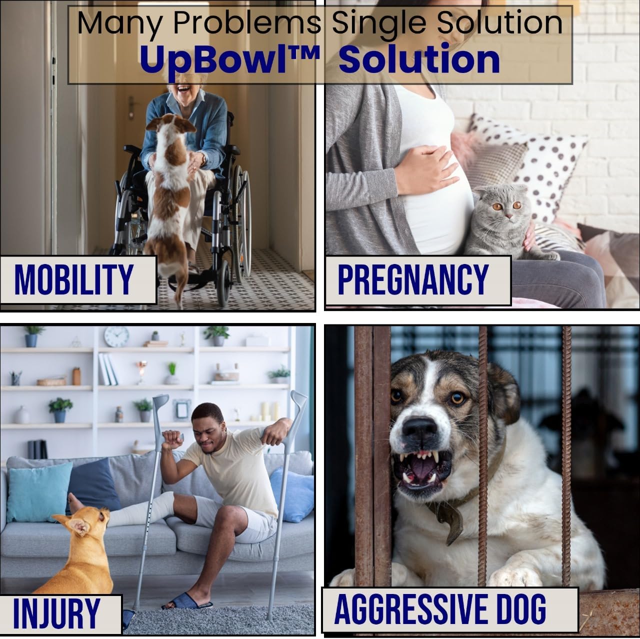 UpBowl™ No Bend Pet Bowl Kit – Pole & 2 Bowls | Easy Lift, Fill & Place Dog or Cat Bowls Without Bending
