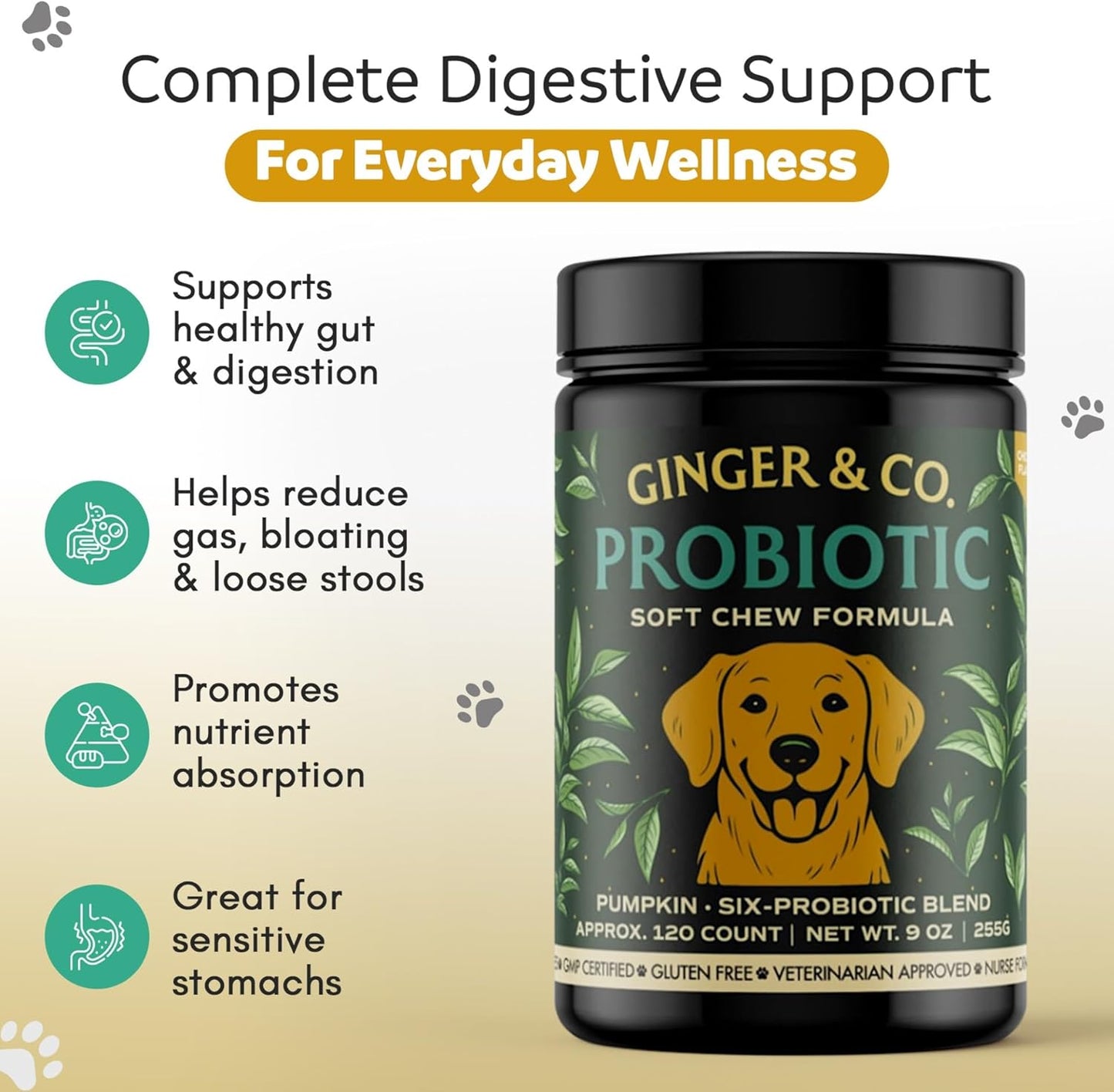 Ginger & Co Dog Probiotic Chews – Digestive Support for Loose Stool, Gas & Sensitive Stomach – Pumpkin, Enzymes & 1 Billion CFU Probiotics – Cold Pressed, No Fillers – Made in USA ~ 120 Chews