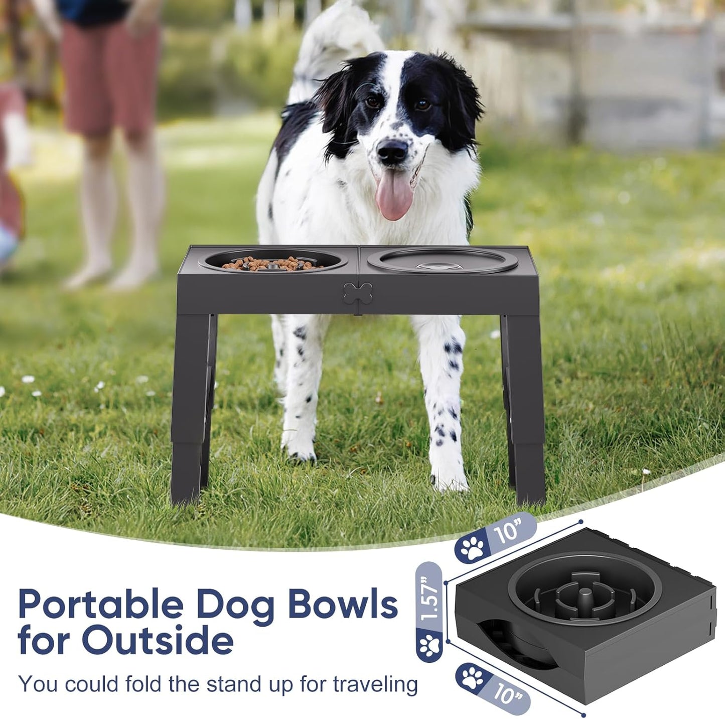 XIAZ Slow Feeder Dog Bowl Stand - Elevated Dog Food and Water Bowl Set for Large Medium Sized, 5 Heights Adjustable, Non-Slip, Durable, Prevents Bloating & Improves Digestion Blue