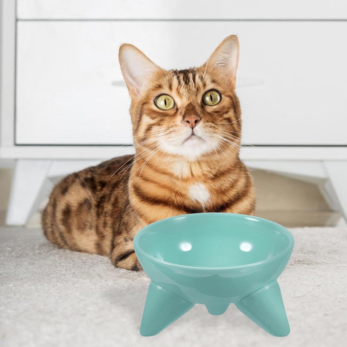 Milisten Elevated Cat Feeding Bowl Raised Pet Water Bowl Tilted Ceramic Dish Anti-Spill Design Mint Green for Cats and Dogs Indoor Use