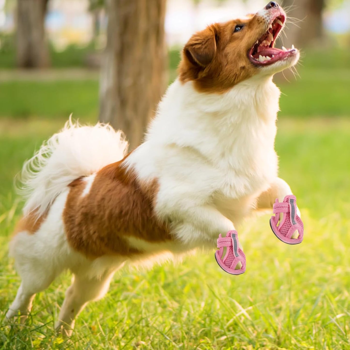 iplusmile Breathable Mesh Dog Sandals Small Size 3 Non Slip Lightweight Soft Rubber Sole Pet Shoes for Outdoor Hot Pavement Protection Summer Paw Covers for Small Dogs 4 Pack
