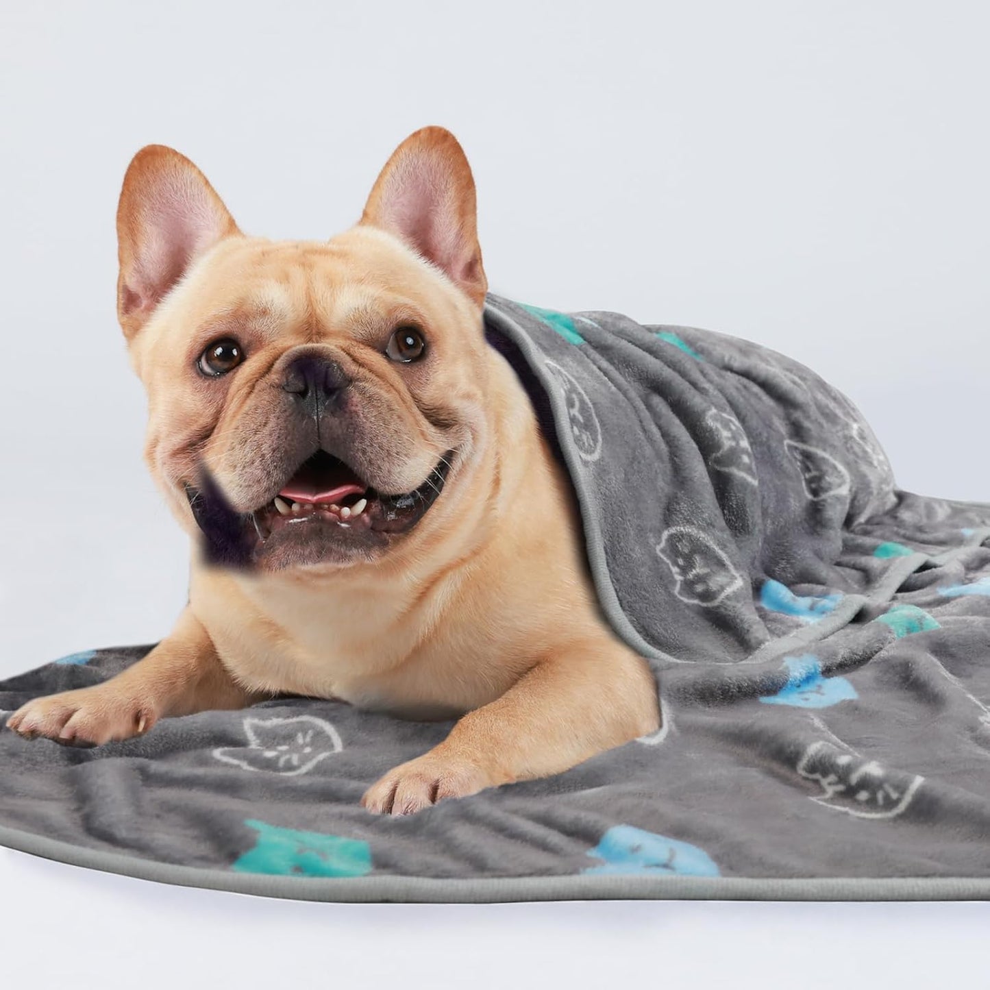 1 Pack 3 Blankets Super Soft Fluffy Premium Cute Cat Pattern Pet Blanket Flannel Throw for Dog Puppy Kitten Blue/Cyan/Grey Small(23x16 inch)