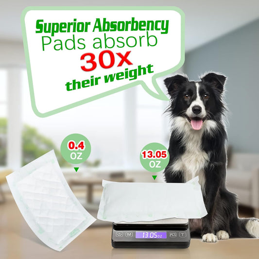 Dog Diaper Liners 100ct Super Soft and Absorbent Dog Diaper Booster Pads for Male Dog Belly Bands or Female Dog Diapers (Long, 100pcs)