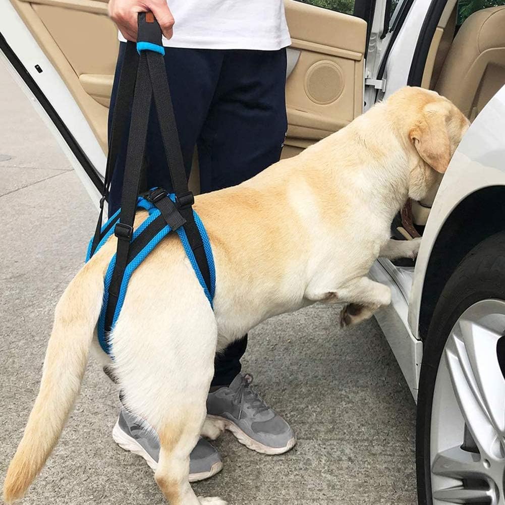 Lifting Harness for Dogs Back Legs Pet Support Harness Rear Helps with Poor Stability Joint Injuries Elderly and Arthritis Rehabilitation Rehab (Small)