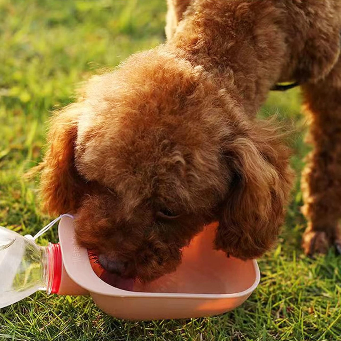 Dog Water Bottle Accessories Dog Travel Water Bottle with Dispenser Drinking Bowl for Outdoor Walking Travelling