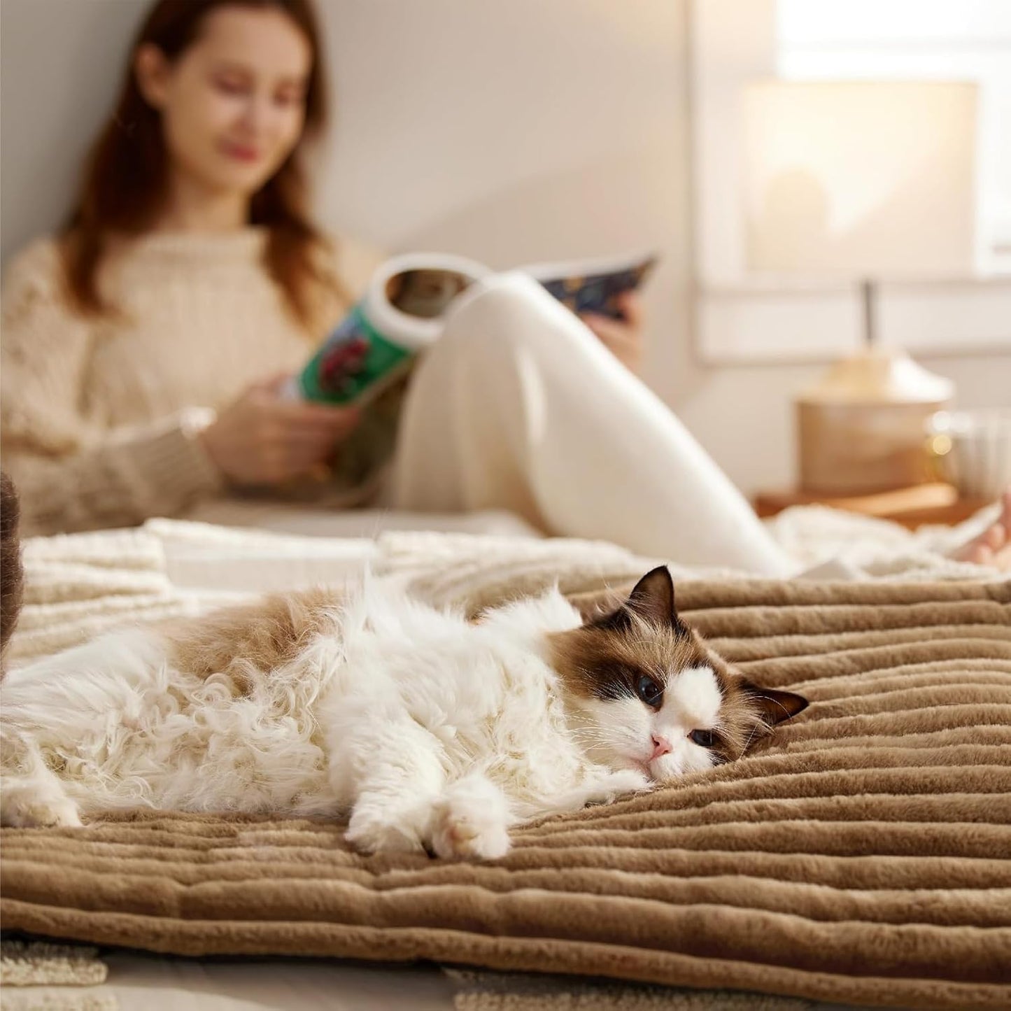 Comfortable Pet Mat - Breathable Dog Mat, 24.02x17.72 inches Dog Crate Pad, Cloth Material Cat Mats with Removable Cover, Soft Cat Bed, Crate Mattress for Small Medium Dogs and Cats
