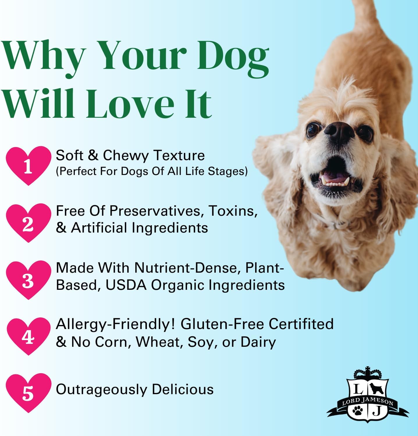 Lord Jameson: Banana Pops 6 oz - Dog Patisserie Treats, Organic Soft & Chewy No-Bake Bites, Vitamin Rich, Nutrient Dense, Gluten & Preservative Free