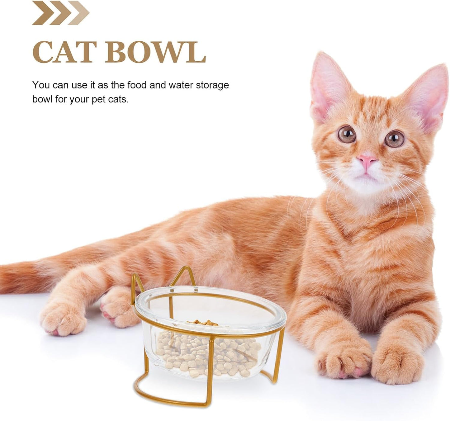 Milisten Glass Raised Cat Bowl with Neck Protection, Slant Design Pet Food and Water Feeder, Whisker-Friendly Tilted Feeding Dish for Cats, Single High Base Bowl for Indoor Use