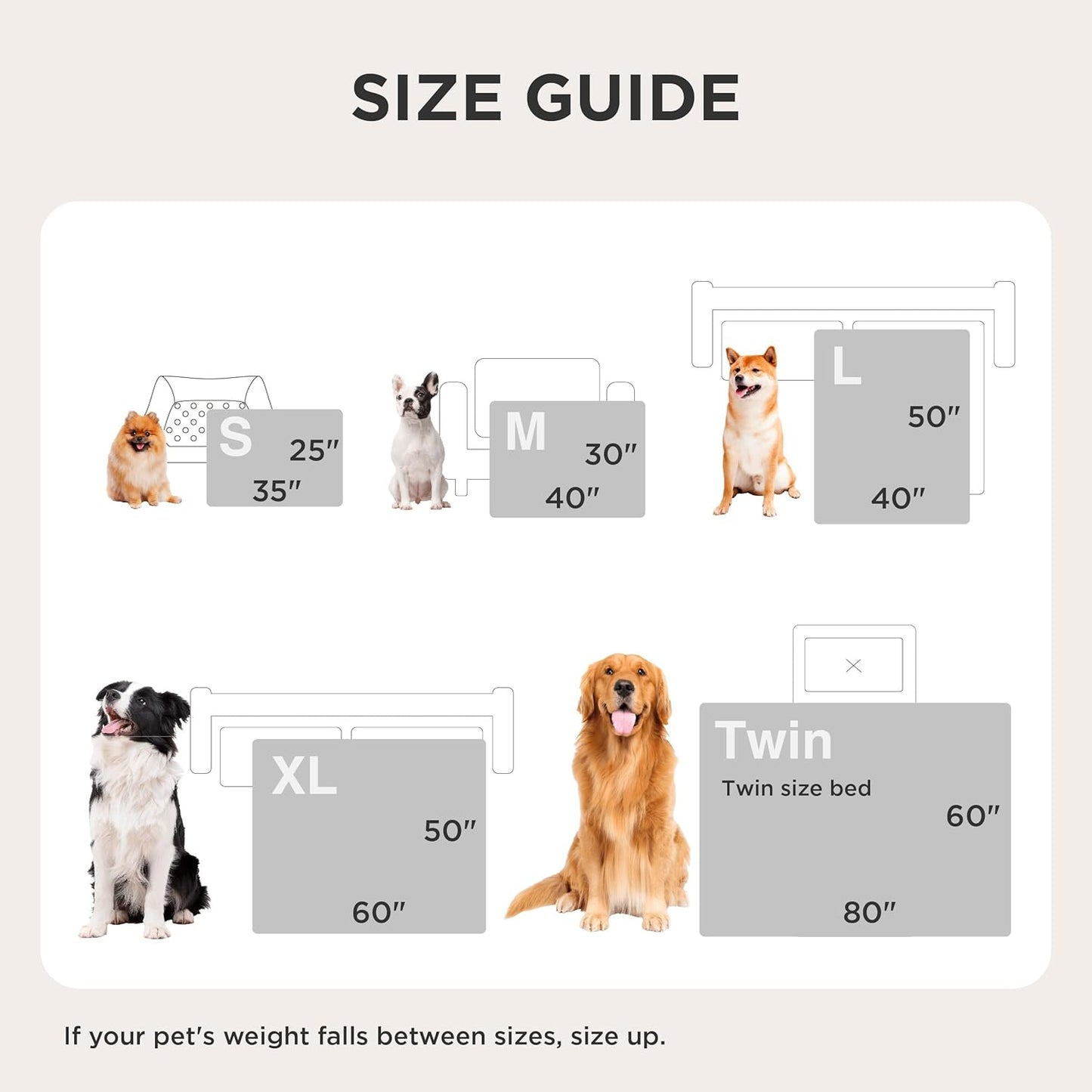 Bedsure Dog Blankets for Large Dogs Washable - Fluffy Fuzzy Cat Puppy Blanket for Couch with Premium 300GSM Coral Fleece Soft for Pet Kitten Doggy, White, 50x60IN