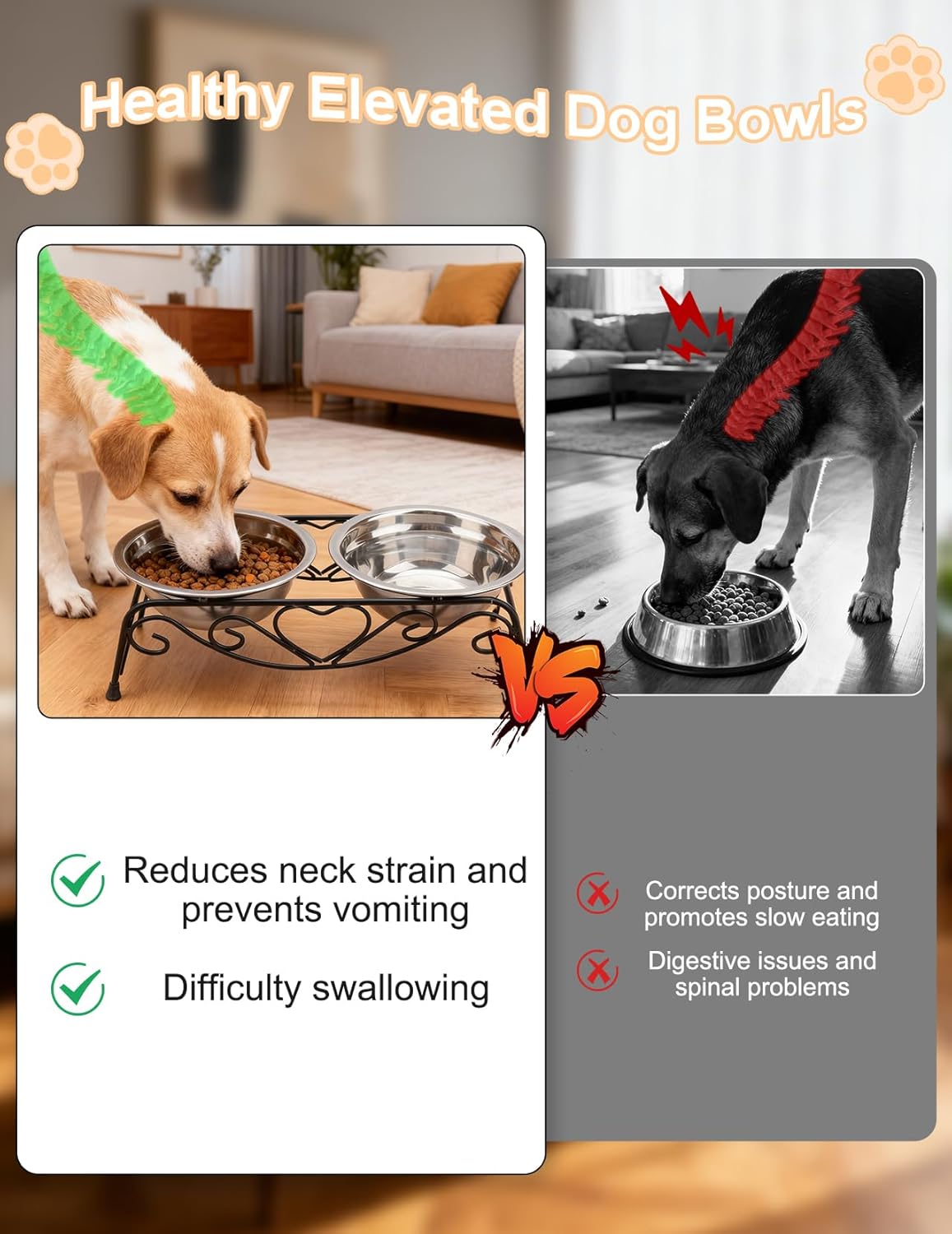 Small Dog Bowls with Metal Stand for Small Breeds Cats and Puppies 3.4 Inch Fixed Height Elevated Feeder with 2 Removable Stainless Steel Bowls